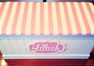 Girls Toy Box 71